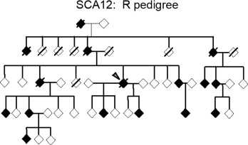 SCA12 pedigree